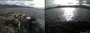 ./images/rivers-inlet/ethel/20150510/ethel20150510_185001.jpg