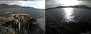 ./images/rivers-inlet/ethel/20150513/ethel20150513_184002.jpg