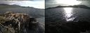 ./images/rivers-inlet/ethel/20150513/ethel20150513_184503.jpg