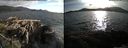 ./images/rivers-inlet/ethel/20150513/ethel20150513_191003.jpg