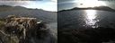 ./images/rivers-inlet/ethel/20150513/ethel20150513_191502.jpg