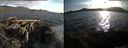 ./images/rivers-inlet/ethel/20150513/ethel20150513_194002.jpg