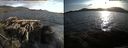 ./images/rivers-inlet/ethel/20150513/ethel20150513_194501.jpg