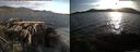 ./images/rivers-inlet/ethel/20150513/ethel20150513_195001.jpg