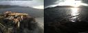 ./images/rivers-inlet/ethel/20150516/ethel20150516_201003.jpg