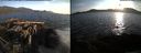 ./images/rivers-inlet/ethel/20150518/ethel20150518_200502.jpg