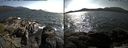 ./images/rivers-inlet/ethel/20150520/ethel20150520_164003.jpg