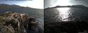 ./images/rivers-inlet/ethel/20150520/ethel20150520_181003.jpg