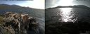 ./images/rivers-inlet/ethel/20150520/ethel20150520_182002.jpg