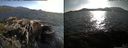 ./images/rivers-inlet/ethel/20150520/ethel20150520_185002.jpg
