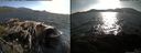 ./images/rivers-inlet/ethel/20150520/ethel20150520_185501.jpg