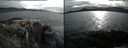 ./images/rivers-inlet/ethel/20150605/ethel20150605_185003.jpg