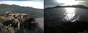 ./images/rivers-inlet/ethel/20150606/ethel20150606_191001.jpg