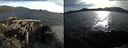 ./images/rivers-inlet/ethel/20150606/ethel20150606_191501.jpg
