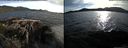 ./images/rivers-inlet/ethel/20150606/ethel20150606_192002.jpg