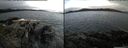 ./images/rivers-inlet/ethel/20150608/ethel20150608_063503.jpg