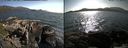 ./images/rivers-inlet/ethel/20150609/ethel20150609_174503.jpg