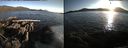 ./images/rivers-inlet/ethel/20150609/ethel20150609_201003.jpg
