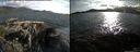 ./images/rivers-inlet/ethel/20150616/ethel20150616_190503.jpg