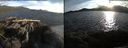 ./images/rivers-inlet/ethel/20150616/ethel20150616_200502.jpg