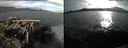./images/rivers-inlet/ethel/20150622/ethel20150622_194003.jpg