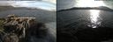 ./images/rivers-inlet/ethel/20150622/ethel20150622_195003.jpg