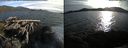 ./images/rivers-inlet/ethel/20150623/ethel20150623_194501.jpg