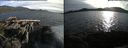 ./images/rivers-inlet/ethel/20150623/ethel20150623_195501.jpg