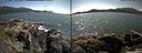 ./images/rivers-inlet/ethel/20150703/ethel20150703_160502.jpg