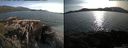 ./images/rivers-inlet/ethel/20150704/ethel20150704_185002.jpg