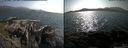 ./images/rivers-inlet/ethel/20150706/ethel20150706_173502.jpg