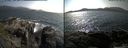 ./images/rivers-inlet/ethel/20150707/ethel20150707_165001.jpg