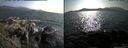 ./images/rivers-inlet/ethel/20150707/ethel20150707_175002.jpg