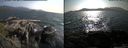 ./images/rivers-inlet/ethel/20150707/ethel20150707_181003.jpg
