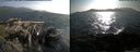 ./images/rivers-inlet/ethel/20150707/ethel20150707_183502.jpg