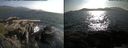 ./images/rivers-inlet/ethel/20150707/ethel20150707_184002.jpg