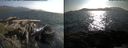 ./images/rivers-inlet/ethel/20150707/ethel20150707_184503.jpg
