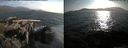./images/rivers-inlet/ethel/20150707/ethel20150707_192502.jpg