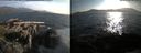 ./images/rivers-inlet/ethel/20150707/ethel20150707_193503.jpg