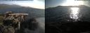 ./images/rivers-inlet/ethel/20150707/ethel20150707_195003.jpg