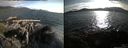 ./images/rivers-inlet/ethel/20150710/ethel20150710_191501.jpg