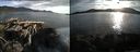 ./images/rivers-inlet/ethel/20150717/ethel20150717_200502.jpg