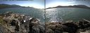 ./images/rivers-inlet/ethel/20150718/ethel20150718_160502.jpg