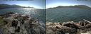 ./images/rivers-inlet/ethel/20150719/ethel20150719_140002.jpg