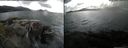 ./images/rivers-inlet/ethel/20150724/ethel20150724_171502.jpg