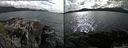 ./images/rivers-inlet/ethel/20150725/ethel20150725_171502.jpg