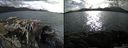 ./images/rivers-inlet/ethel/20150725/ethel20150725_182502.jpg