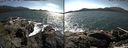 ./images/rivers-inlet/ethel/20150801/ethel20150801_152502.jpg