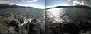 ./images/rivers-inlet/ethel/20150805/ethel20150805_165502.jpg