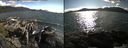 ./images/rivers-inlet/ethel/20150805/ethel20150805_175502.jpg